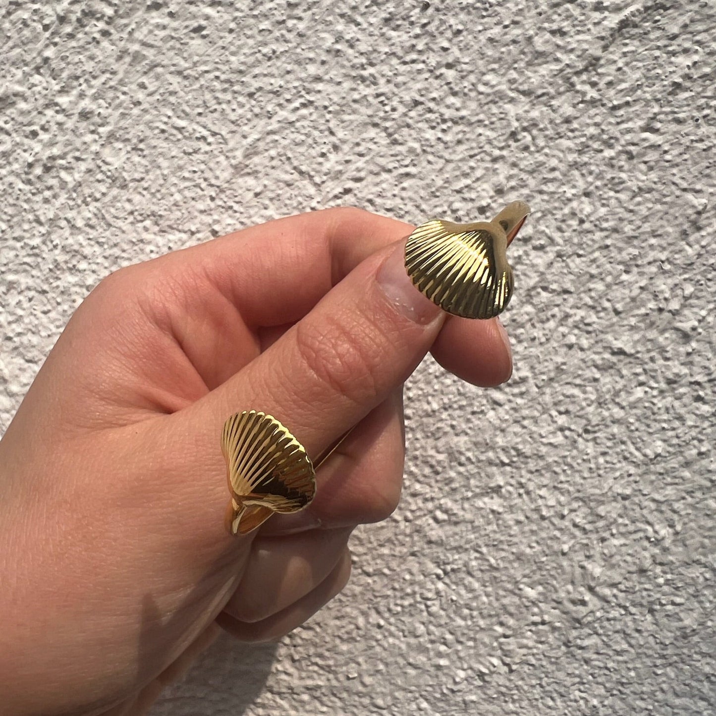 Jonc Sea Shell