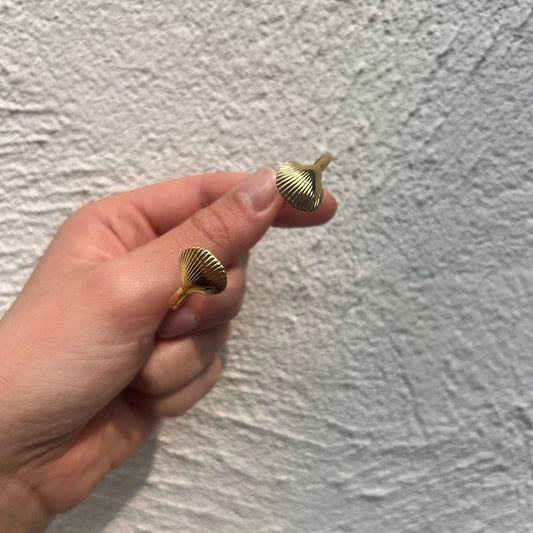 Jonc Sea Shell